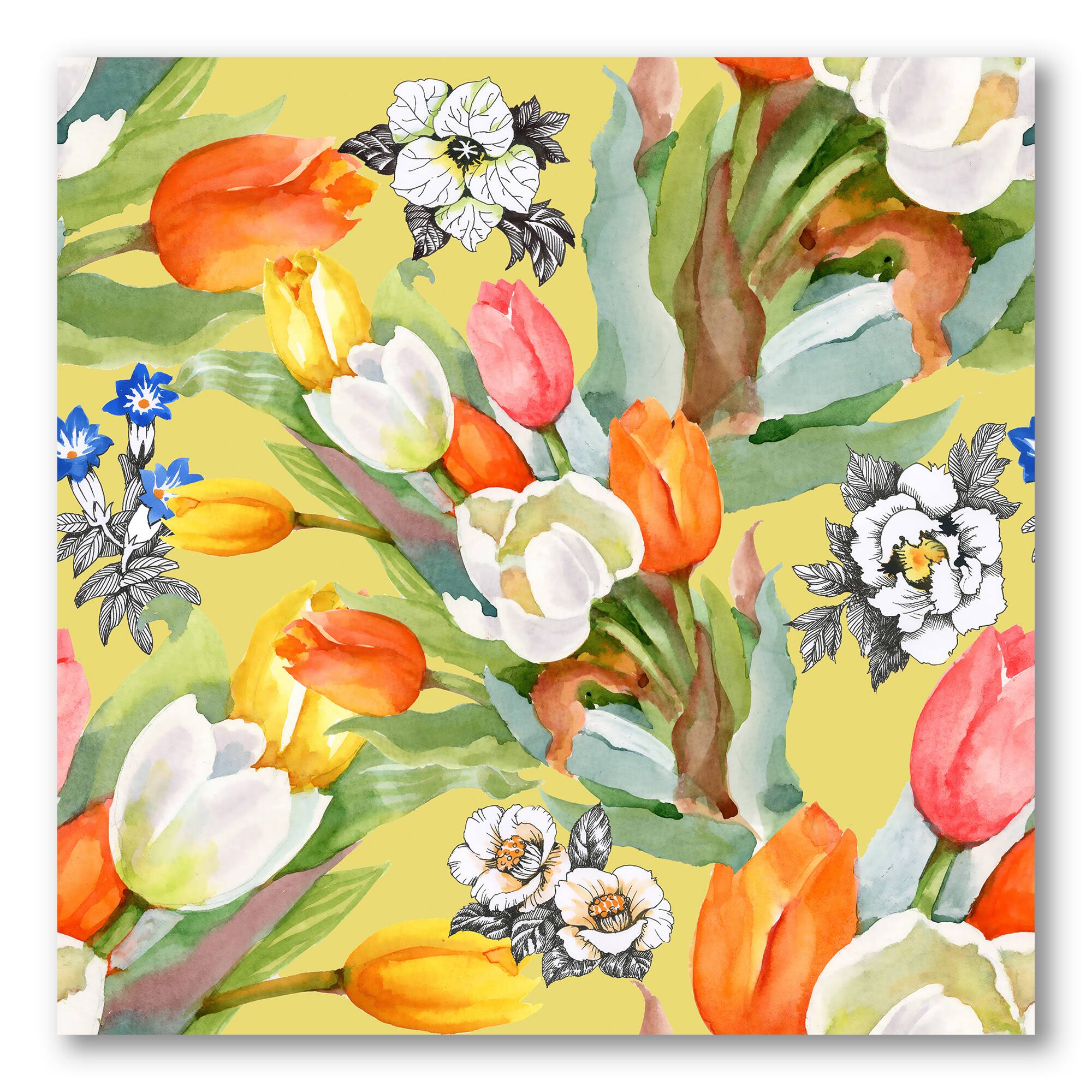 Designart - Blooming White and Orange Tulips I